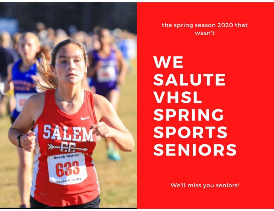 Salute to VHSL Spring Sports seniors