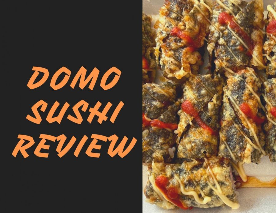 Domo Sushi Review