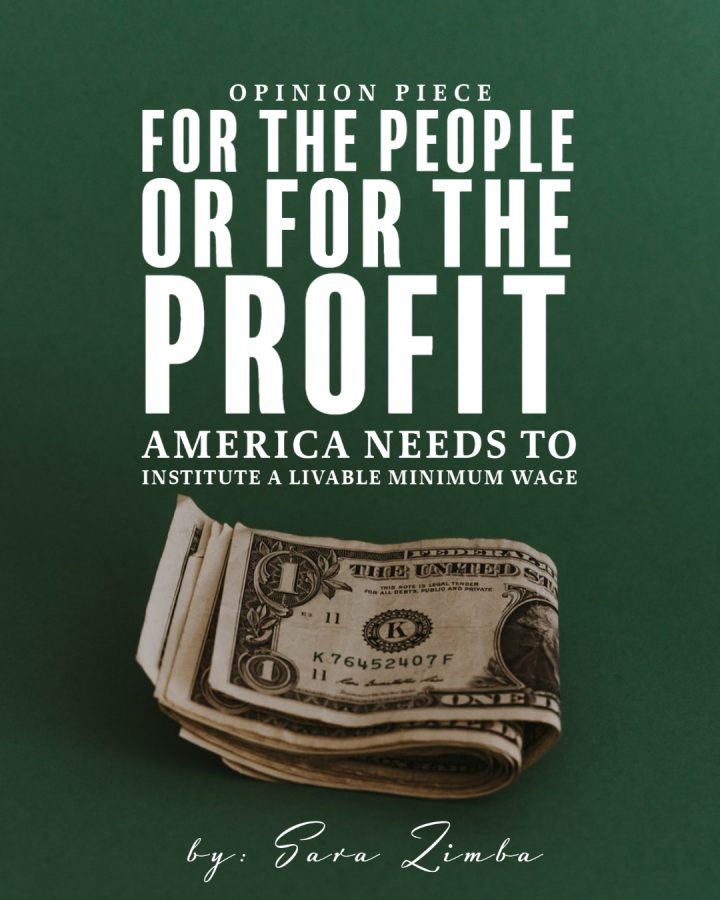 For the people or for the profit? 