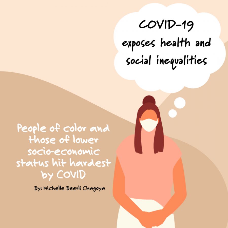 COVID-19 exposes health and social inequalities 