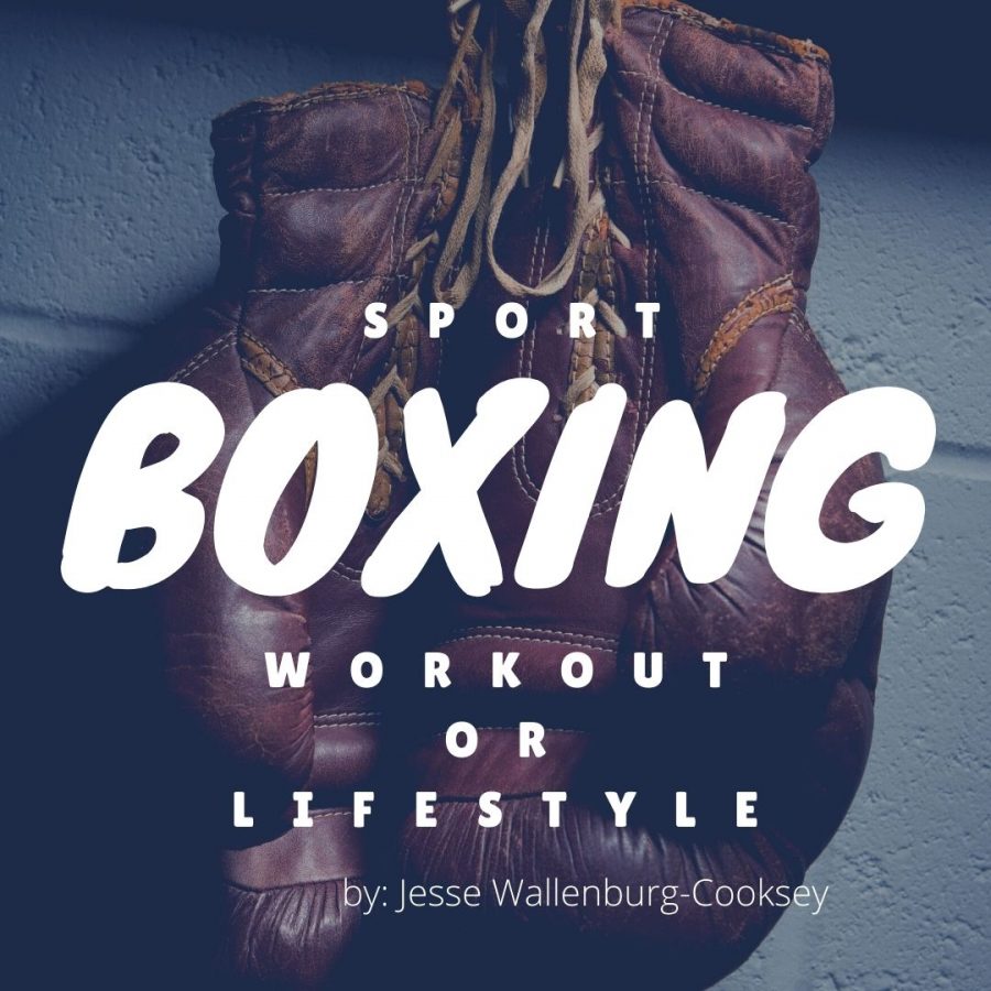 Boxing%3A+sport%2C+workout%2C+or+lifestyle
