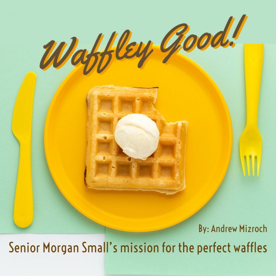 The Waffle Connoisseur