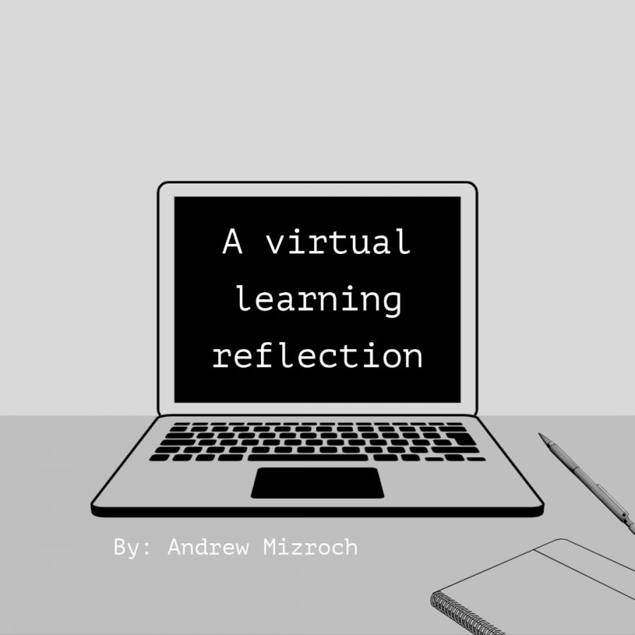 Virtual Learning reflection