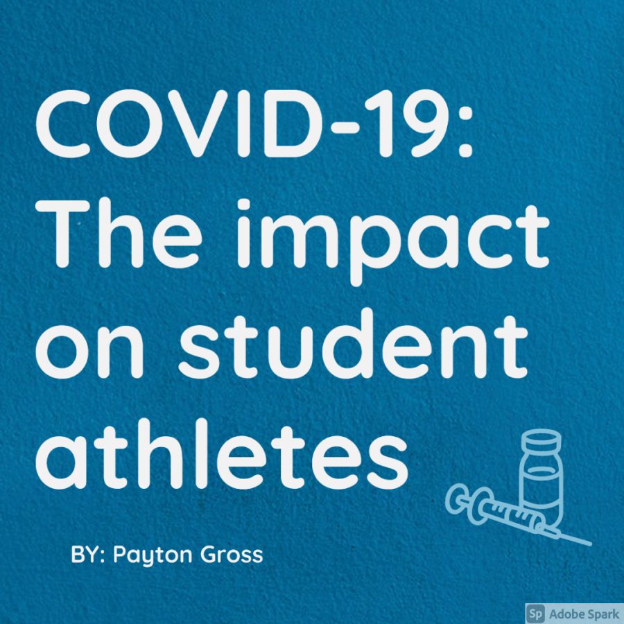 COVID regulation Q&A with athletes