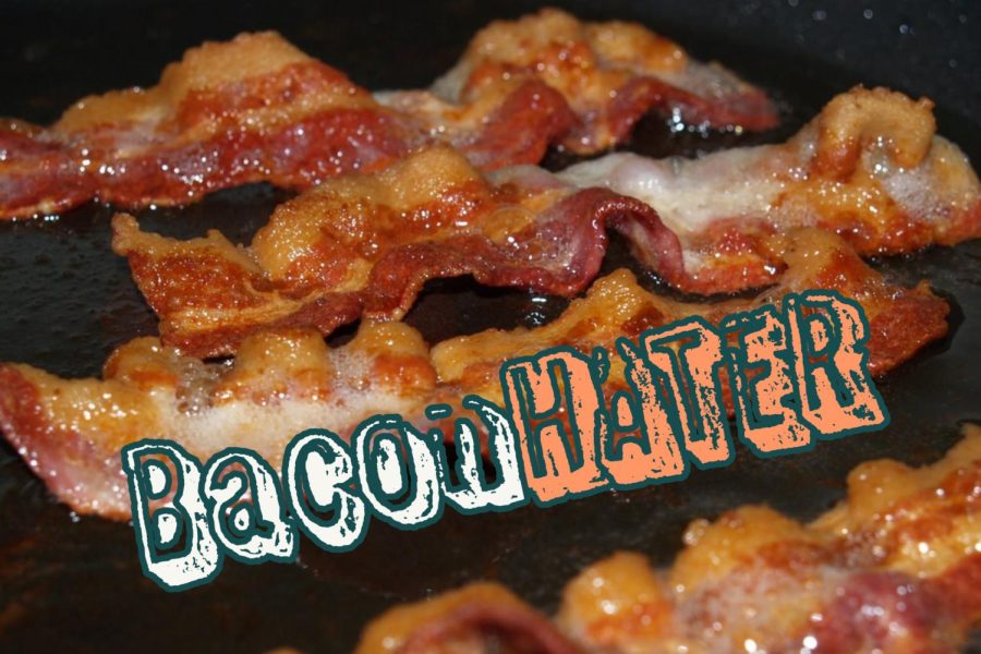 BaconHATER