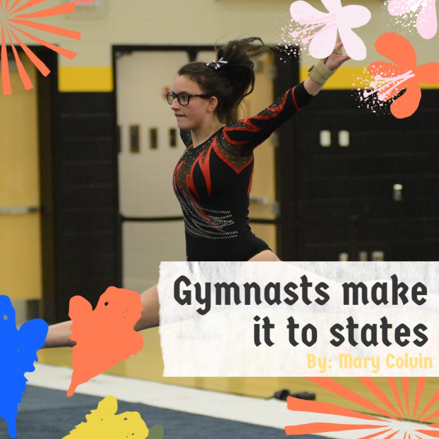 Gymnasts make it to states