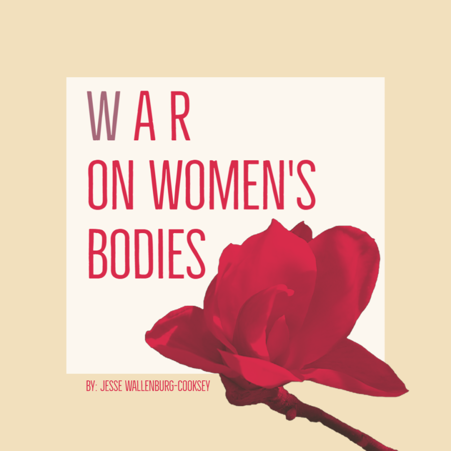 The War on Women’s Bodies