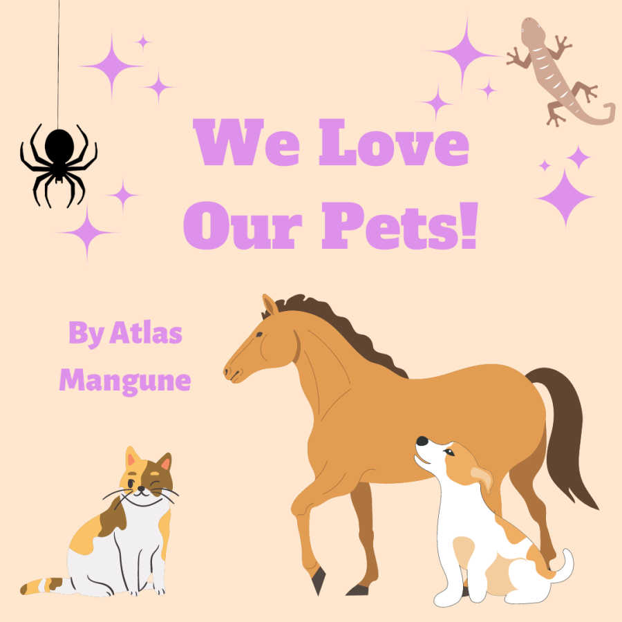 We love our pets