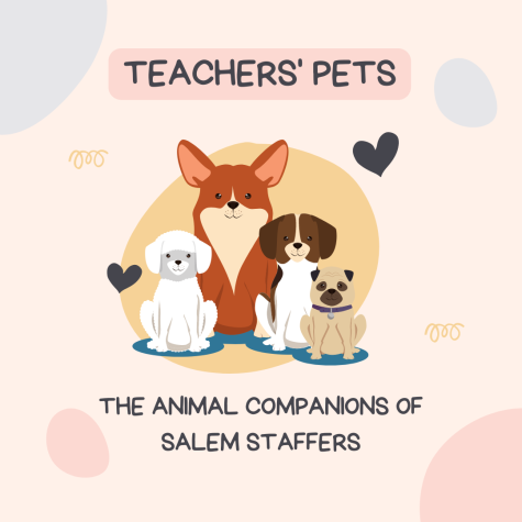 Teachers’ Pets