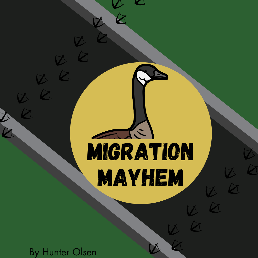 Migration+Mayhem