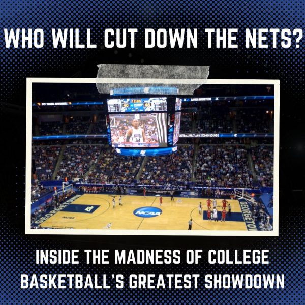 Who will cut down the nets?