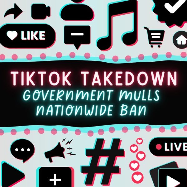 TikTok Takedown: Government Mulls Nationwide Ban