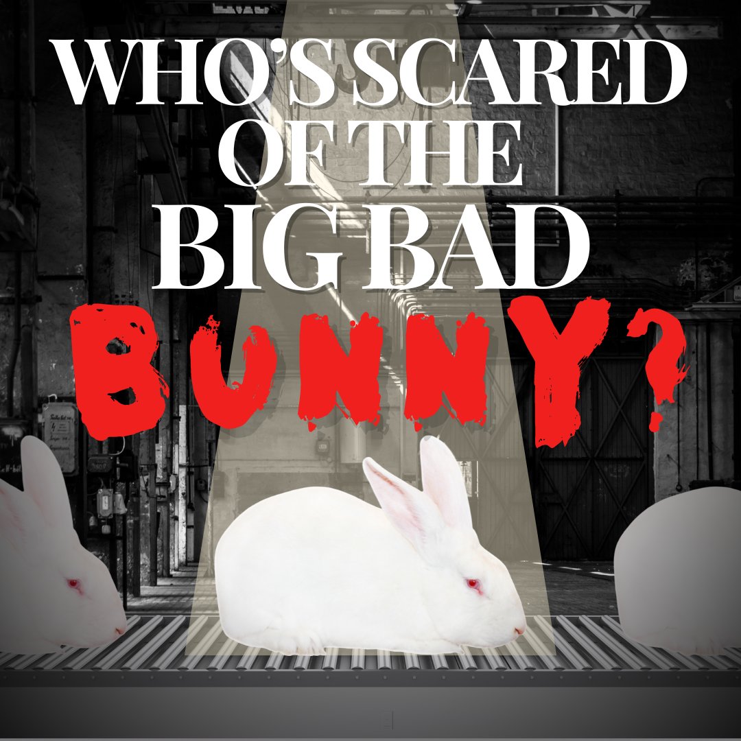 Whos Scared of the Big Bad Bunny?