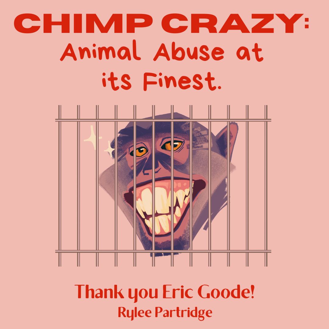 Chimp Crazy: A Review