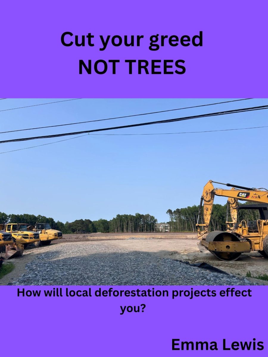 31 Acres Being Clear Cut Behind Regent