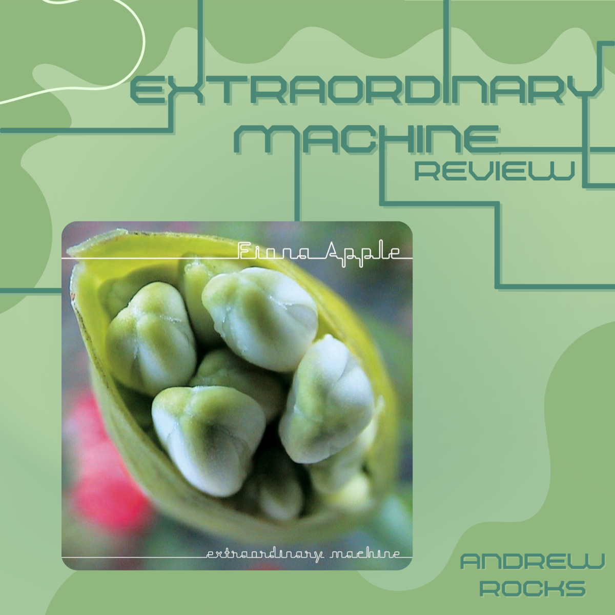 Fiona Apple and her Extraordinary Machine